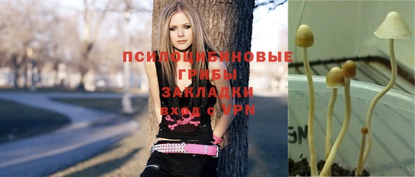 эйфоретик Арсеньев