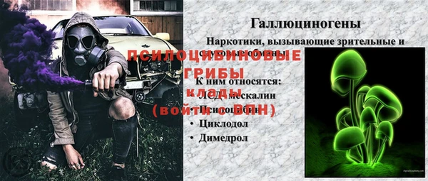 эйфоретик Арсеньев