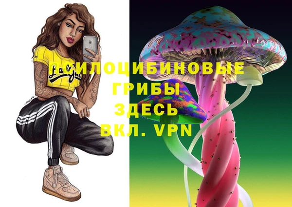 винт Аркадак
