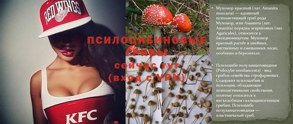эйфоретик Арсеньев