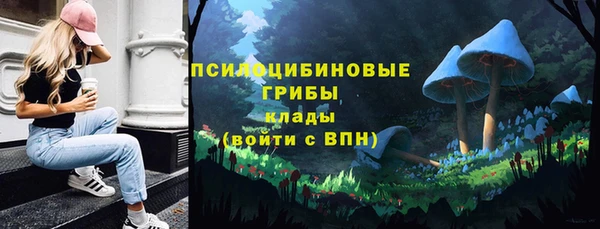 винт Аркадак