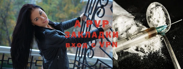 эйфоретик Арсеньев