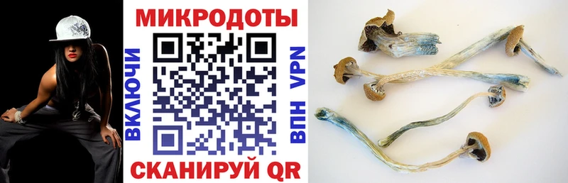 Галлюциногенные грибы мицелий mega сайт Михайловск
