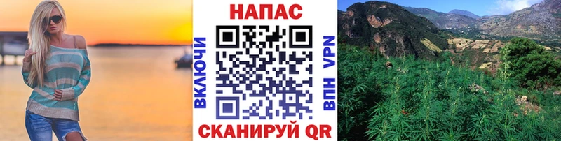 купить закладку  Михайловск  Шишки марихуана SATIVA & INDICA 